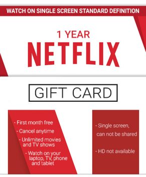 Netflix 1 Screen - Standard