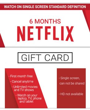Netflix 1 Screen - Standard