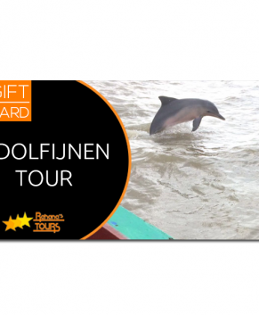 Dolfijnen tour